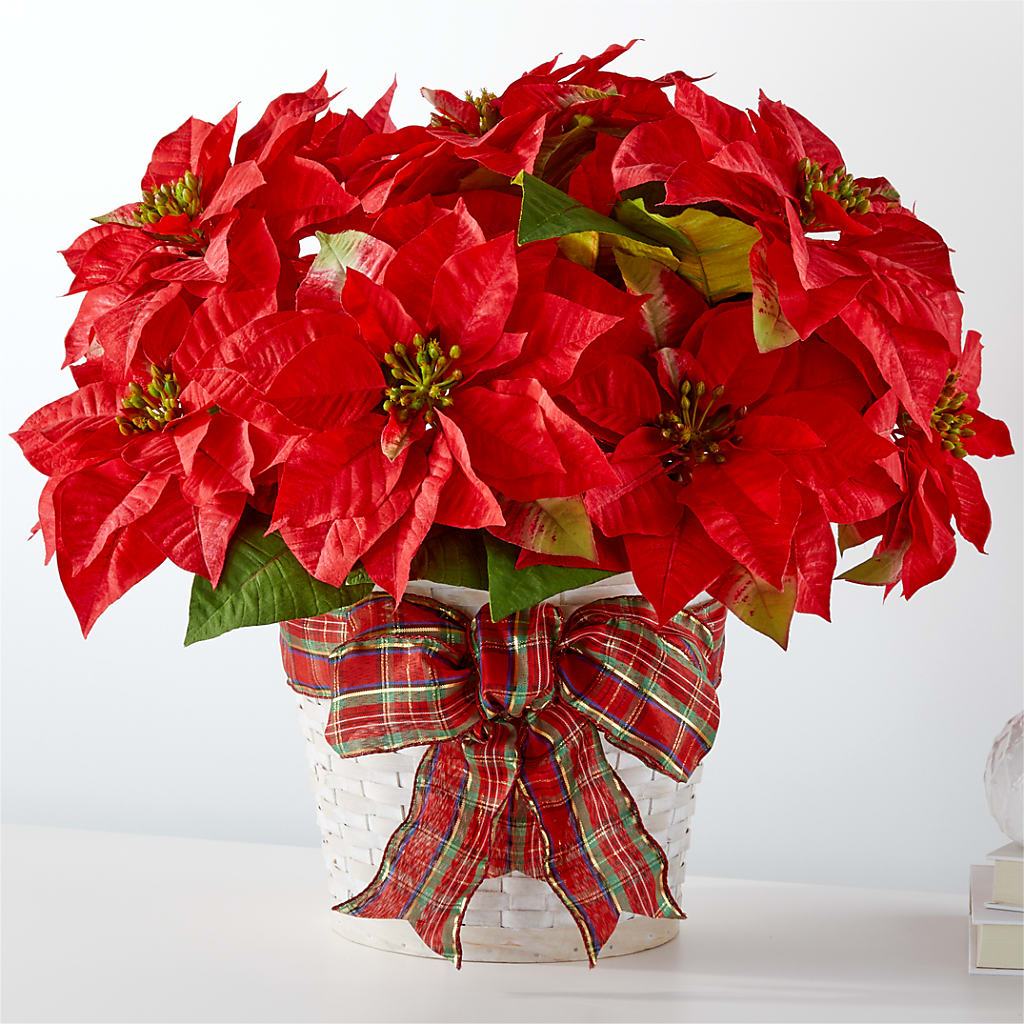 Happiest Holidays Poinsettia – Petal Pockets, Fontana CA