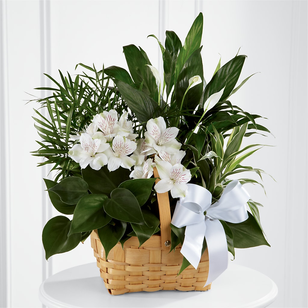 Peace & Serenity Dishgarden – Petal Pockets, Fontana CA