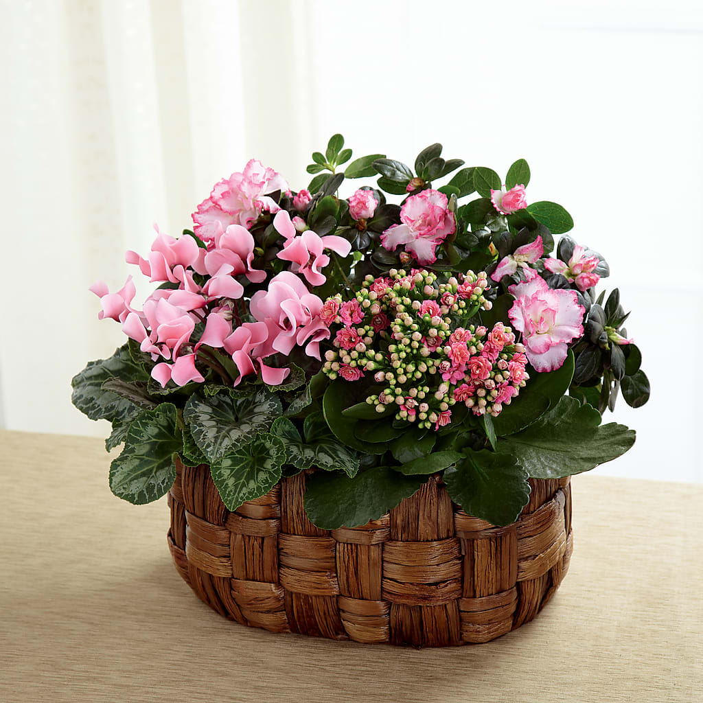 Pink Assortment – Petal Pockets, Fontana CA