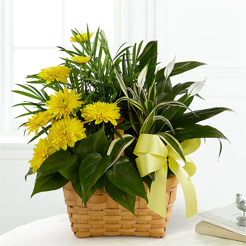 Loving Light Dishgarden – Petal Pockets, Fontana CA