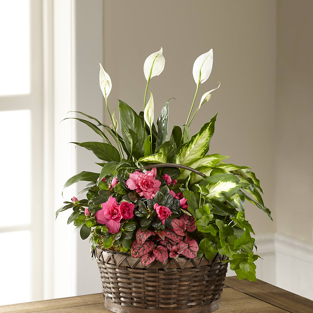 Dream in Pink Dishgarden – Petal Pockets, Fontana CA