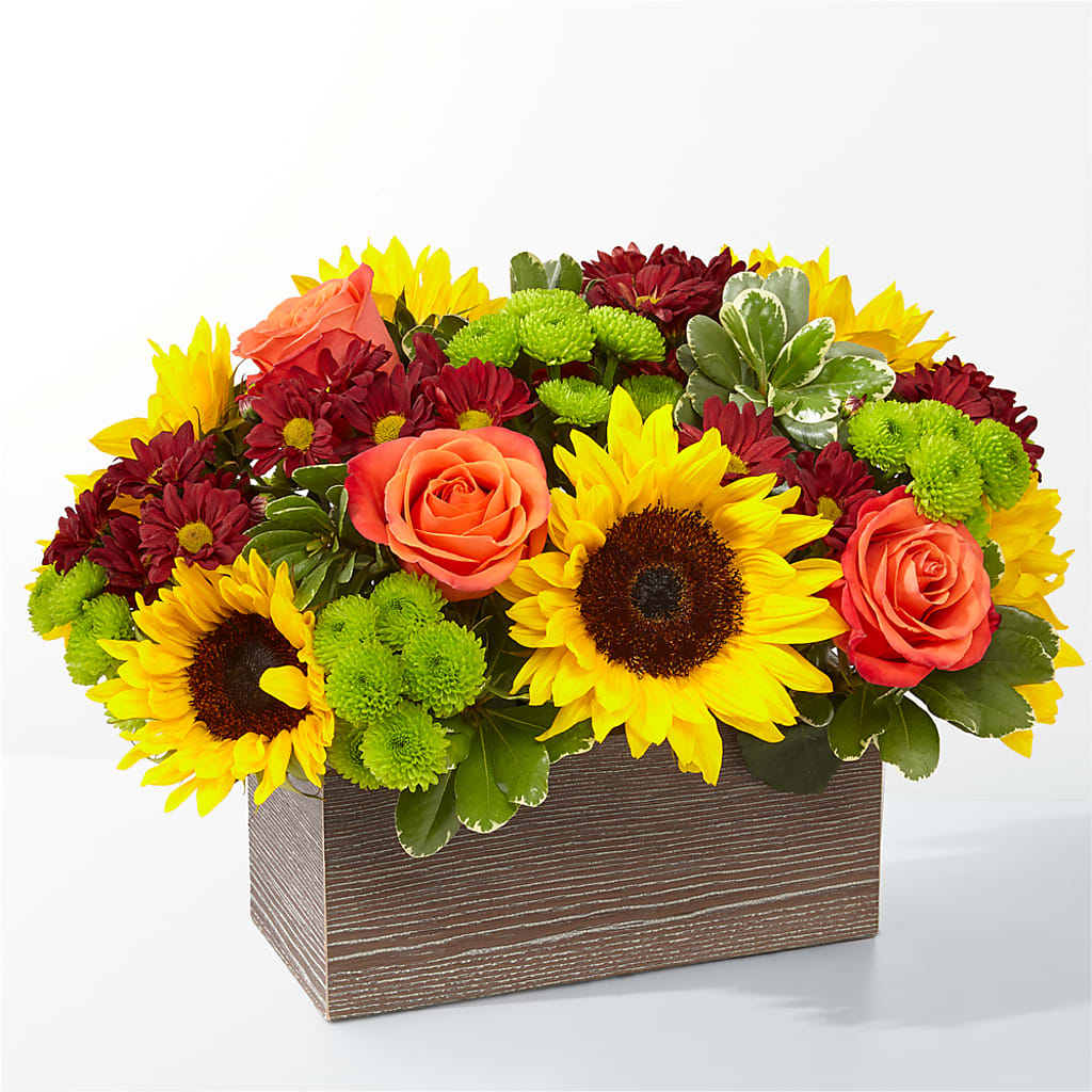 Happy Harvest Garden – Petal Pockets, Fontana CA