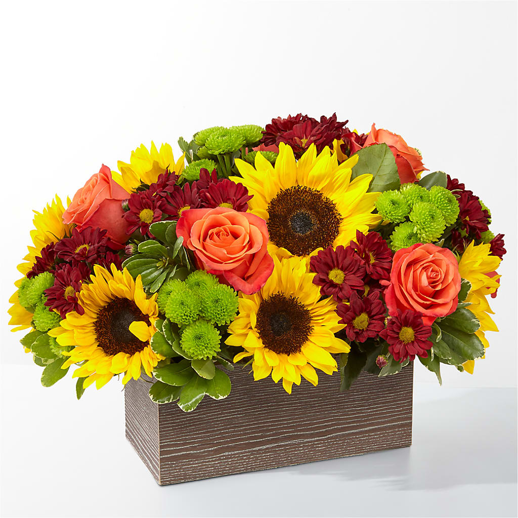 Happy Harvest Garden – Petal Pockets, Fontana CA