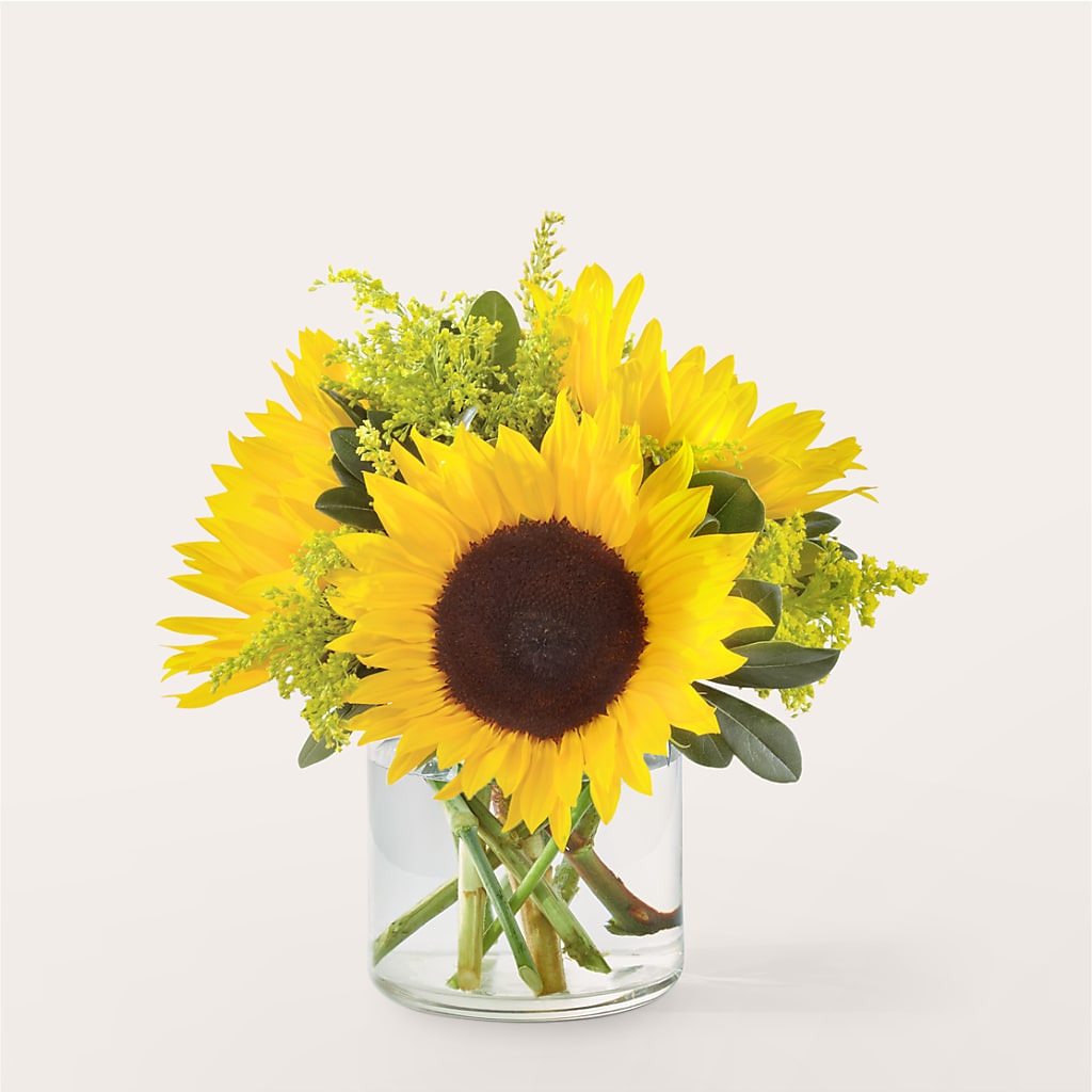 Beaming Sunflower Bouquet – Petal Pockets, Fontana CA