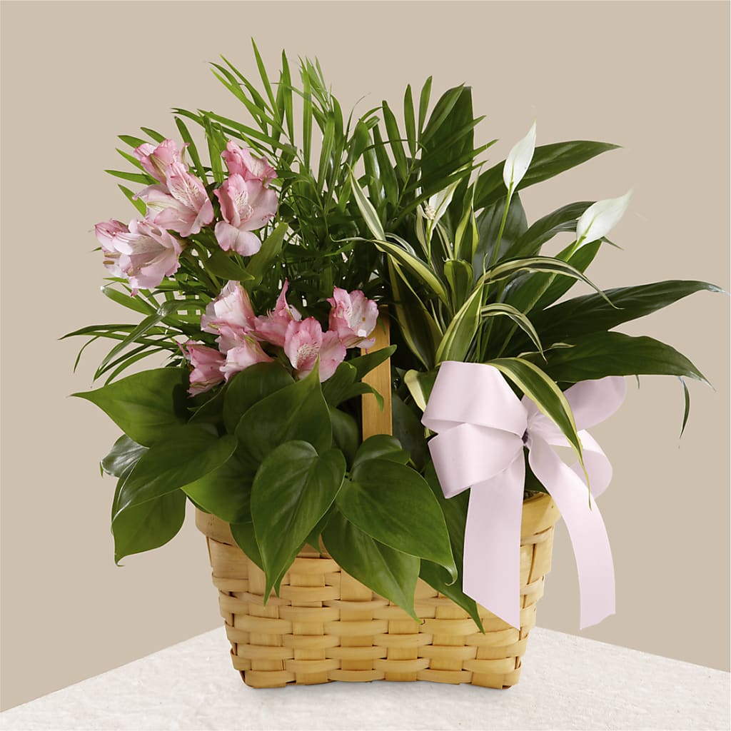 Living Spirit Dishgarden – Petal Pockets, Fontana CA