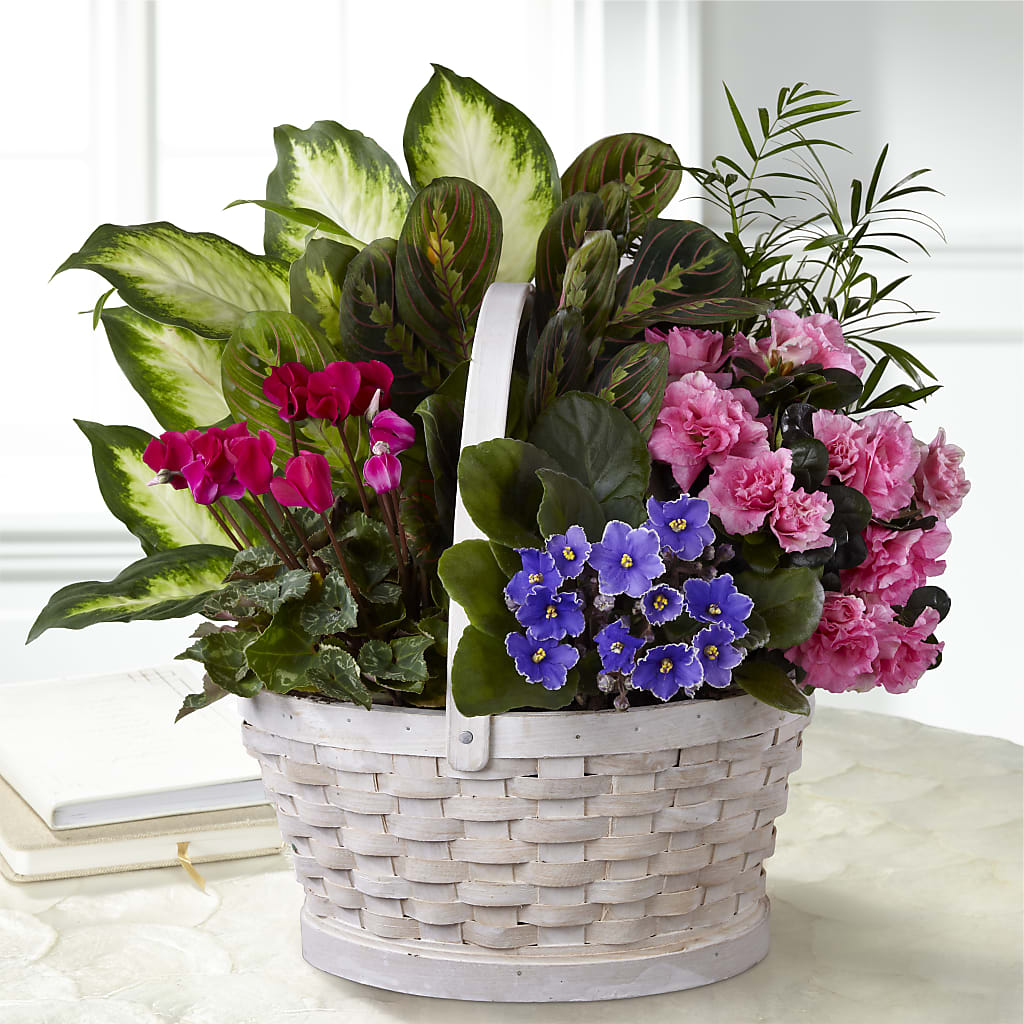 Peaceful Garden Planter – Petal Pockets, Fontana CA