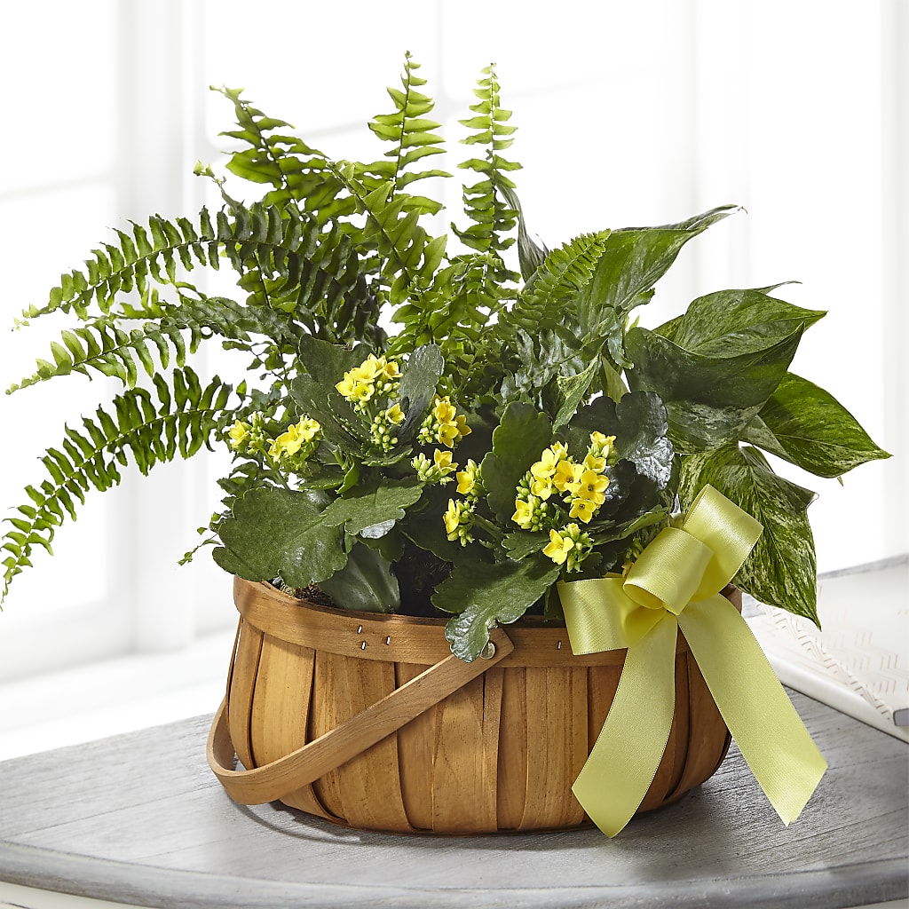 Always Dear Dishgarden – Petal Pockets, Fontana CA