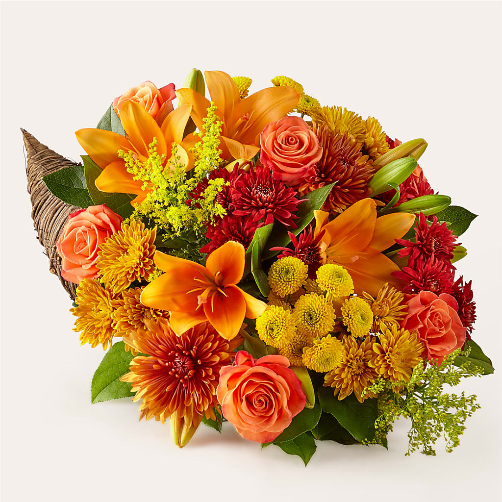 Feast of Color Cornucopia – Petal Pockets, Fontana CA