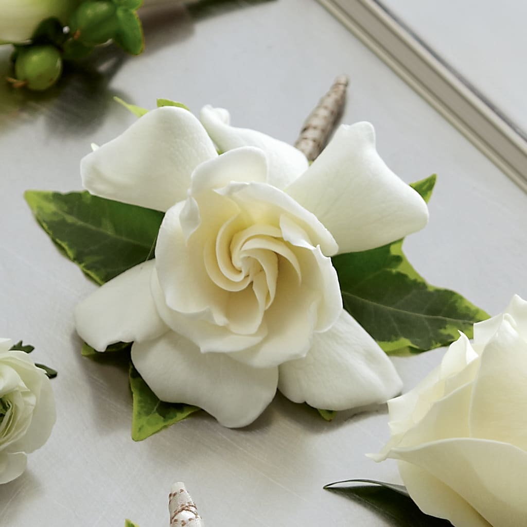 Gardenia Boutonniere – Petal Pockets, Fontana CA