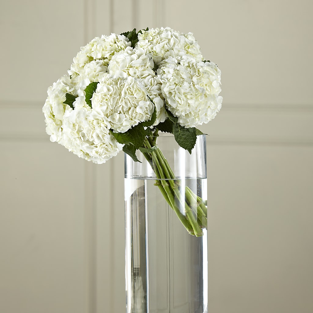 White Hydrangea Hand-Tied Bouquet – Petal Pockets, Fontana CA