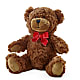 Adorable Plush Bear –  Petal Pockets, Fontana CA