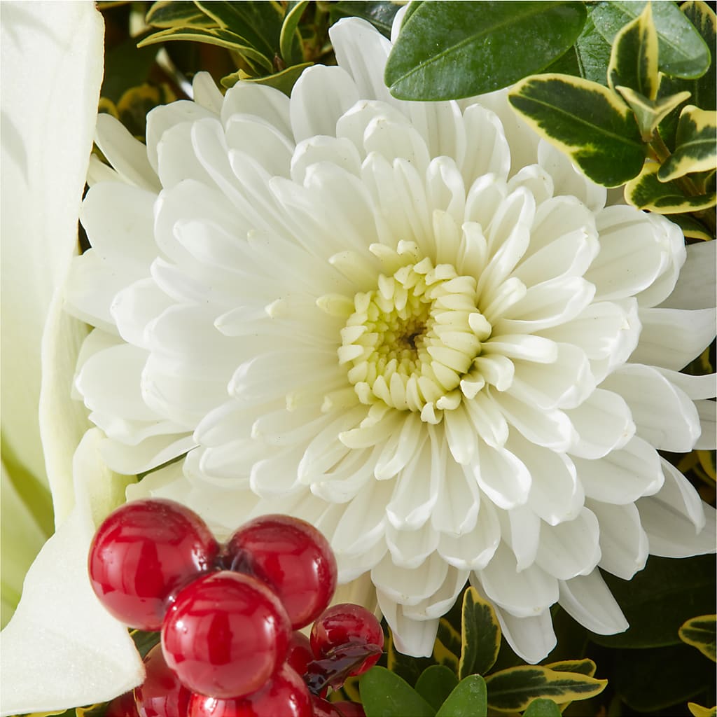 Festive Moments Tree –  Petal Pockets, Fontana CA