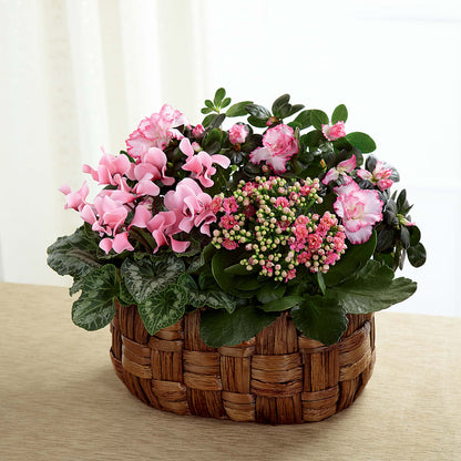 Pink Assortment –  Petal Pockets, Fontana CA