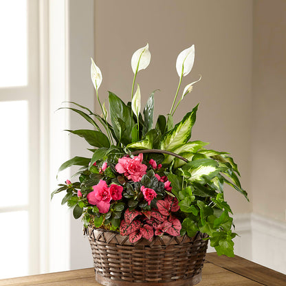Dream in Pink Dishgarden –  Petal Pockets, Fontana CA