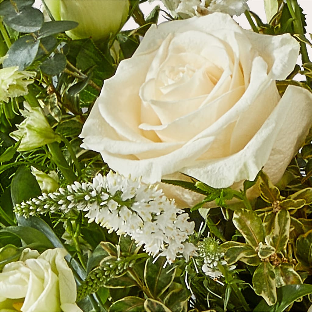 Cashmere Bouquet –  Petal Pockets, Fontana CA