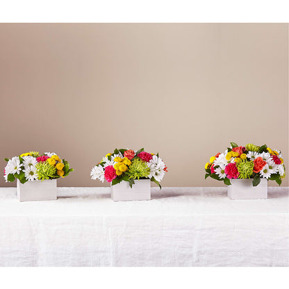 Sorbet Bouquet –  Petal Pockets, Fontana CA