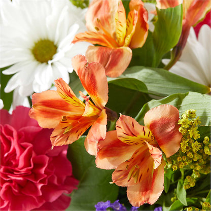 Oopsie Daisy Box Bouquet –  Petal Pockets, Fontana CA