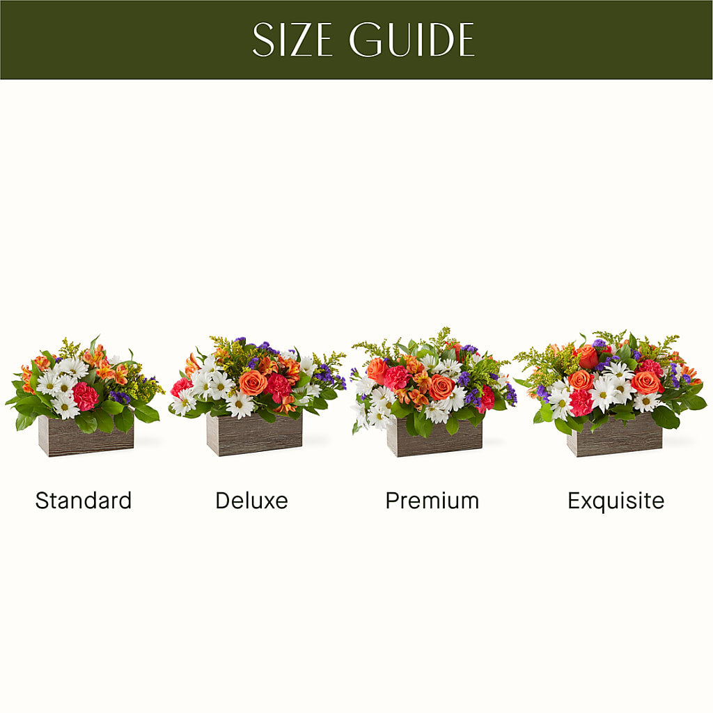 Oopsie Daisy Box Bouquet –  Petal Pockets, Fontana CA