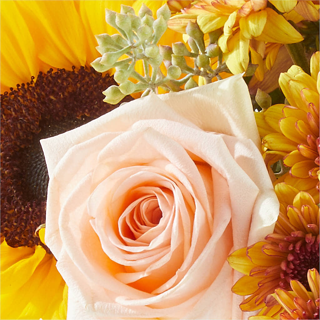 Pumpkin to Talk About Bouquet –  Petal Pockets, Fontana CA
