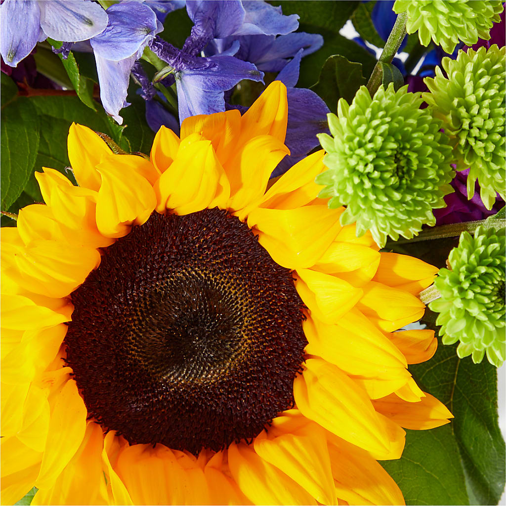 Catching Rays Bouquet –  Petal Pockets, Fontana CA