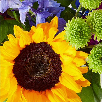 Catching Rays Bouquet –  Petal Pockets, Fontana CA