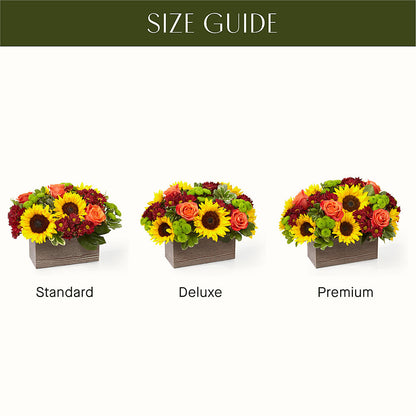 Happy Harvest Garden –  Petal Pockets, Fontana CA