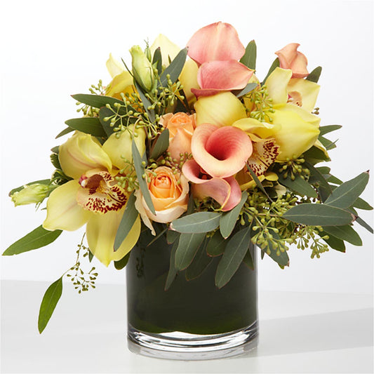 The Visionary –  Petal Pockets, Fontana CA