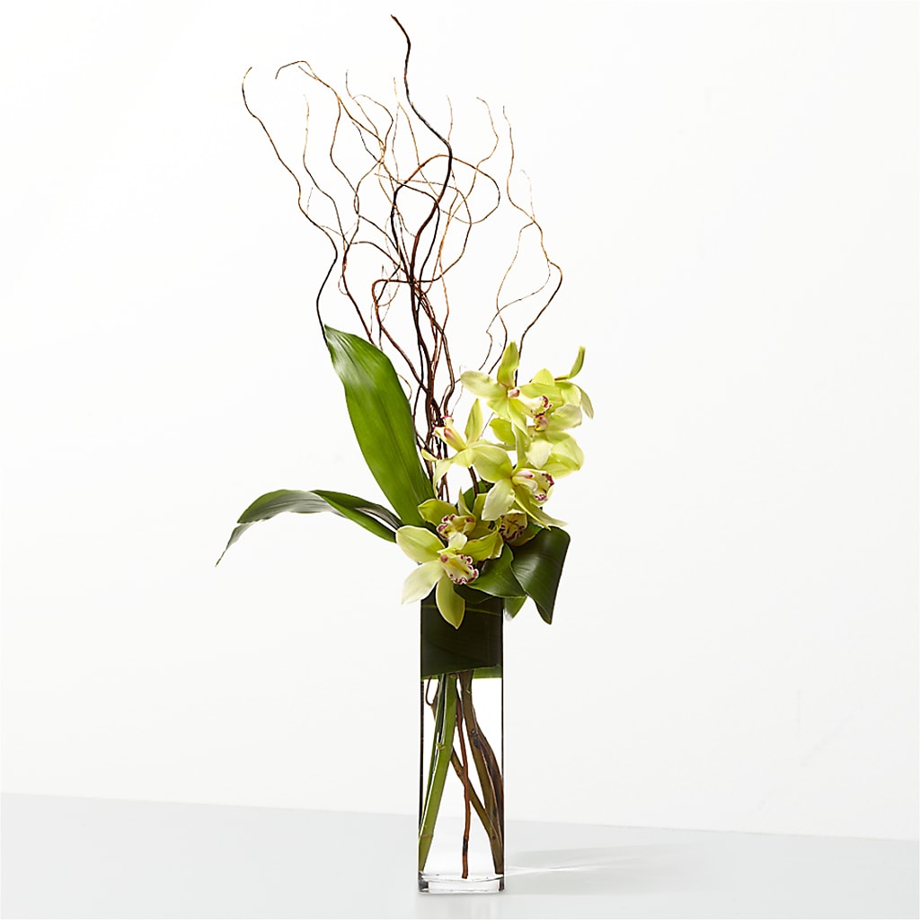 The Statement –  Petal Pockets, Fontana CA