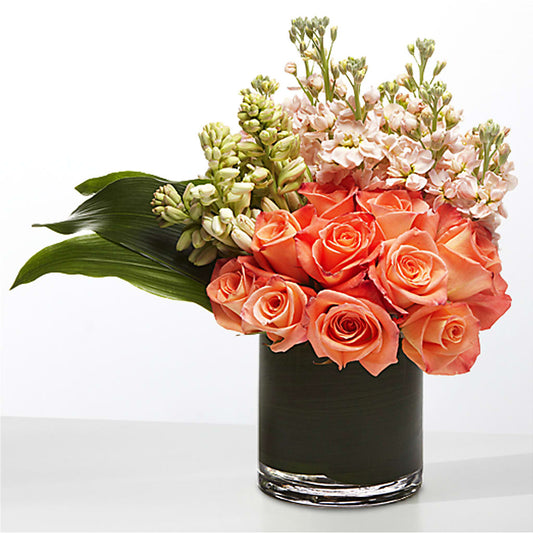 The Moment –  Petal Pockets, Fontana CA