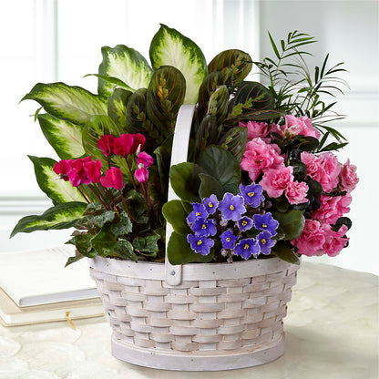 Peaceful Garden Planter –  Petal Pockets, Fontana CA