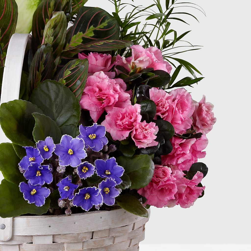 Peaceful Garden Planter –  Petal Pockets, Fontana CA