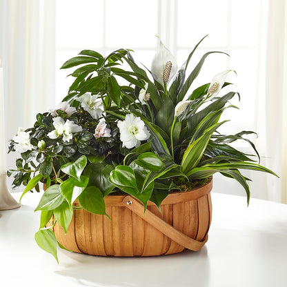 Serene Dishgarden –  Petal Pockets, Fontana CA