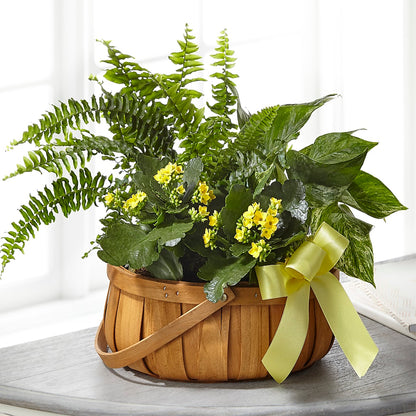 Always Dear Dishgarden –  Petal Pockets, Fontana CA