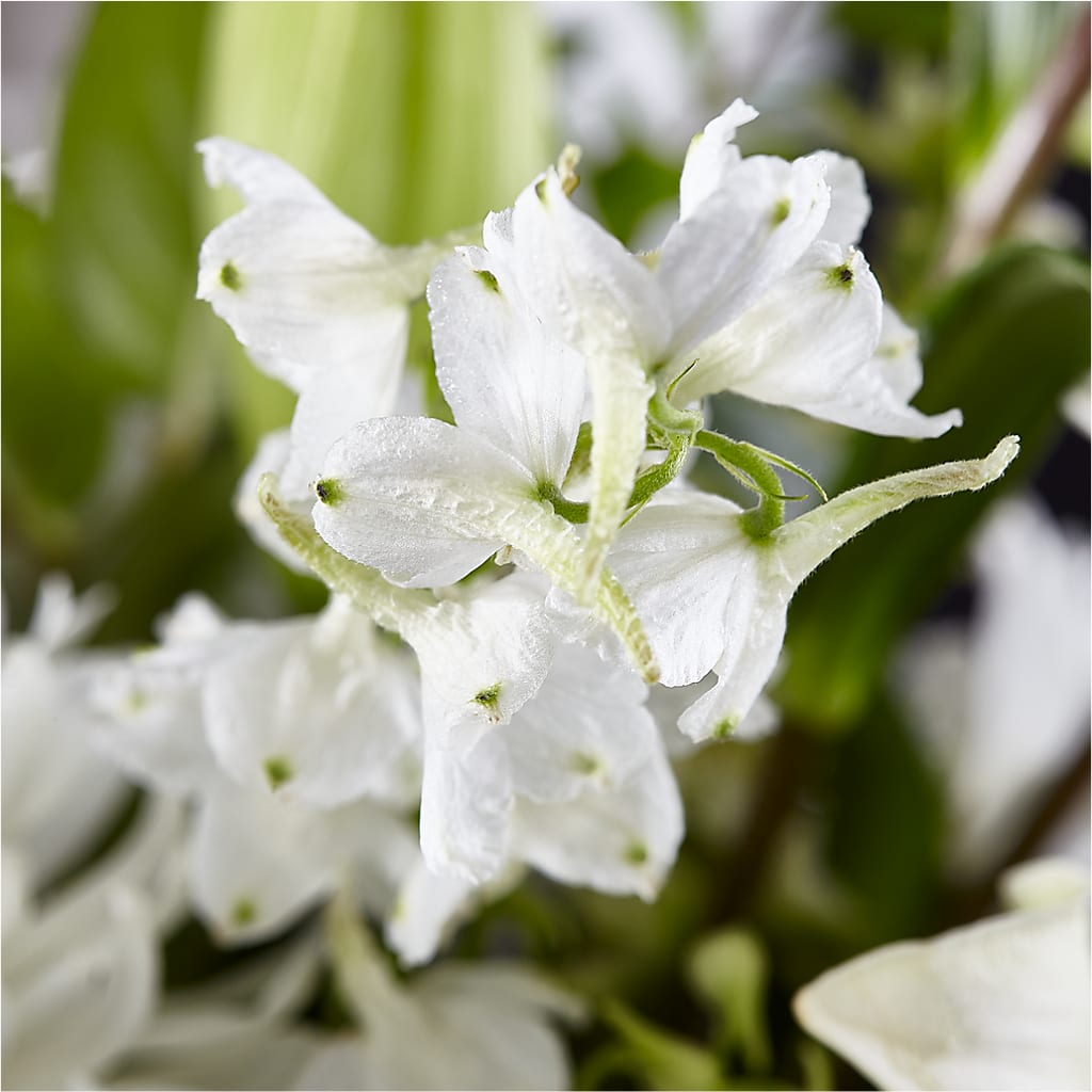 Classic Ivory – A Florist Original –  Petal Pockets, Fontana CA