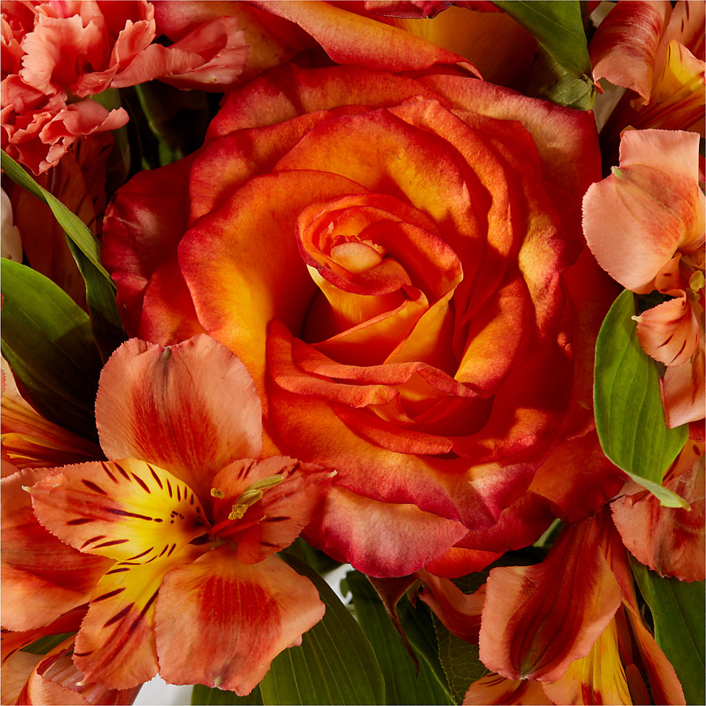 Apricot Glow Bouquet –  Petal Pockets, Fontana CA