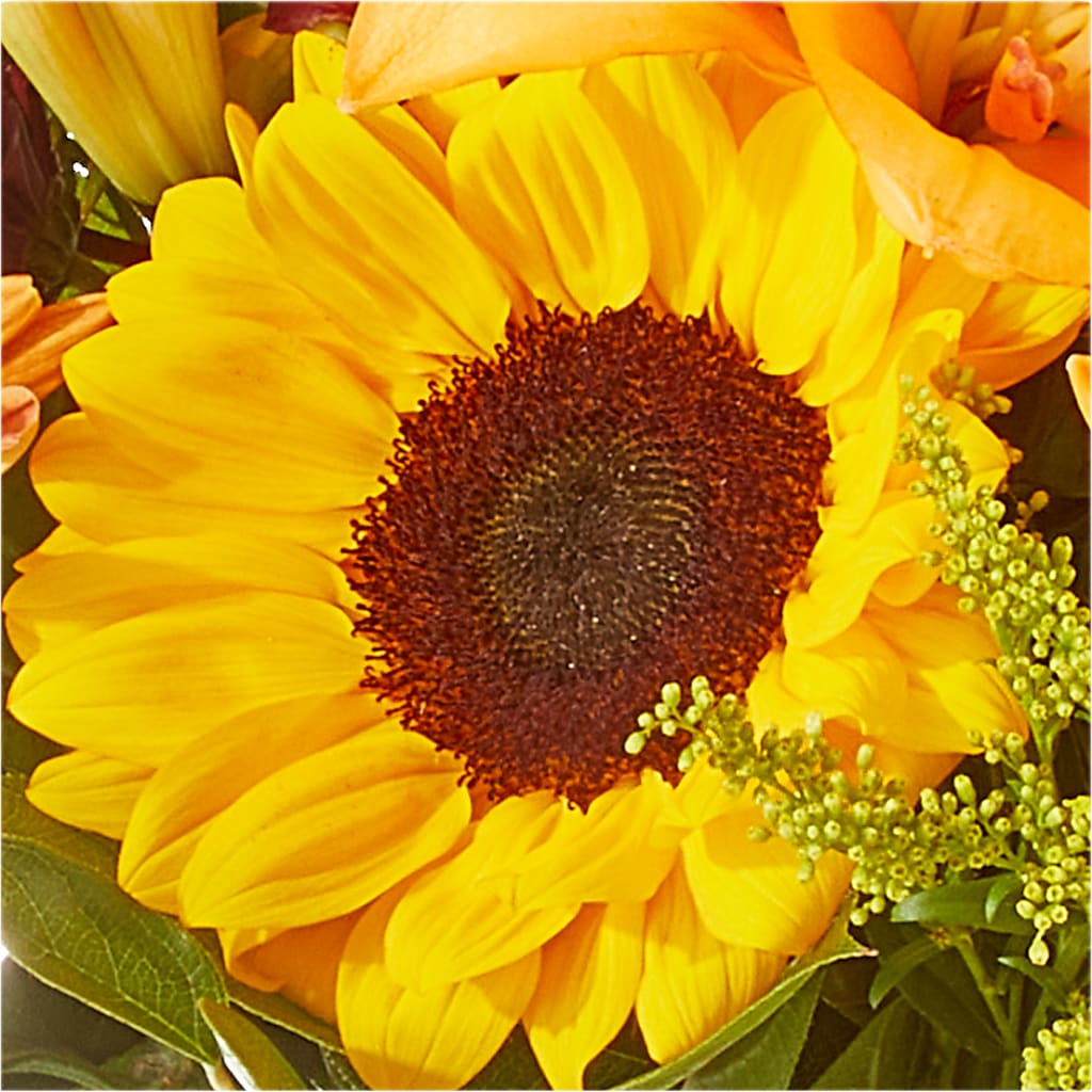 Seasons Change Bouquet –  Petal Pockets, Fontana CA