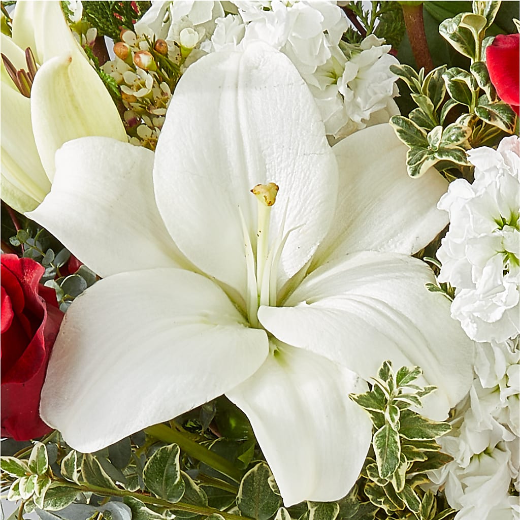 Twinkle Lights Bouquet –  Petal Pockets, Fontana CA