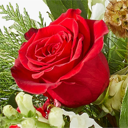 Deck the Halls Bouquet –  Petal Pockets, Fontana CA