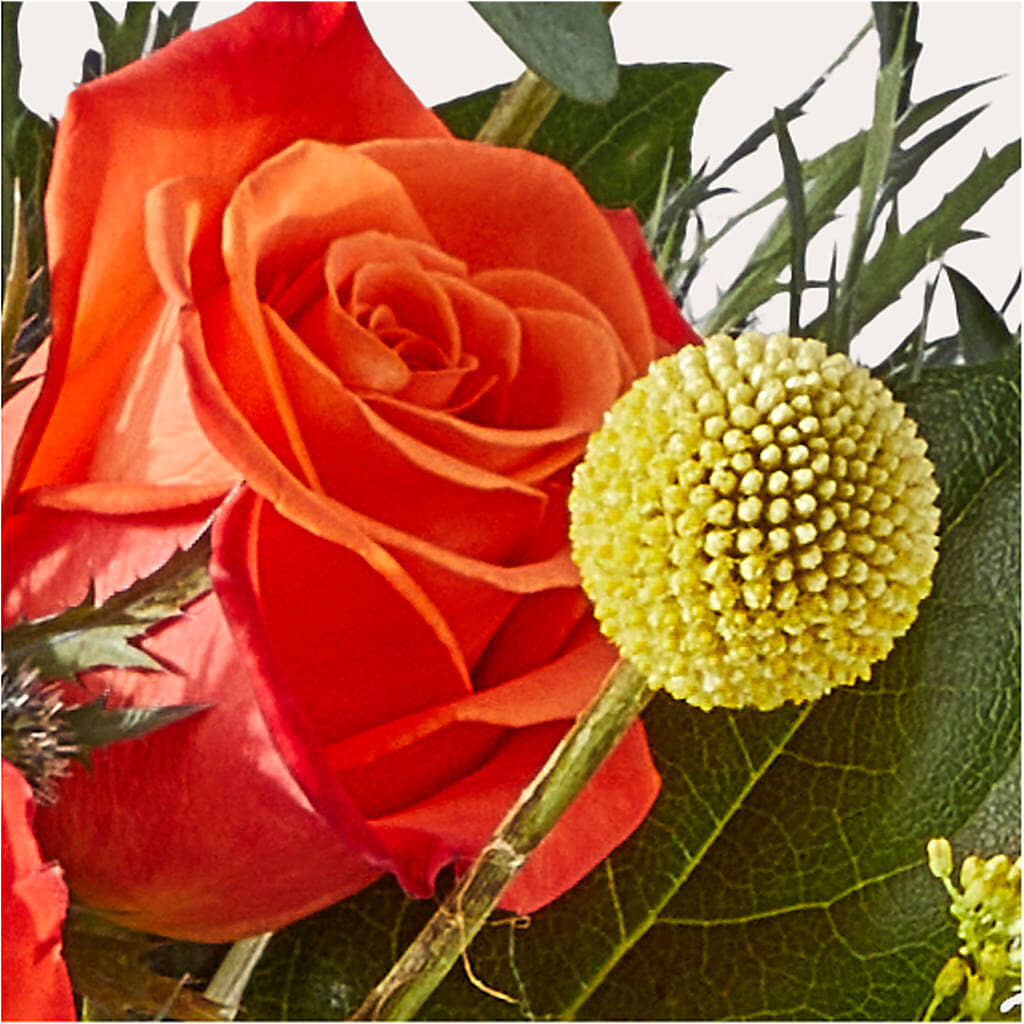 Disco Bouquet –  Petal Pockets, Fontana CA