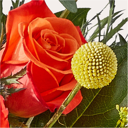 Disco Bouquet –  Petal Pockets, Fontana CA