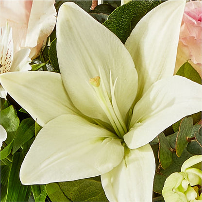 Ballet Slippers Bouquet –  Petal Pockets, Fontana CA