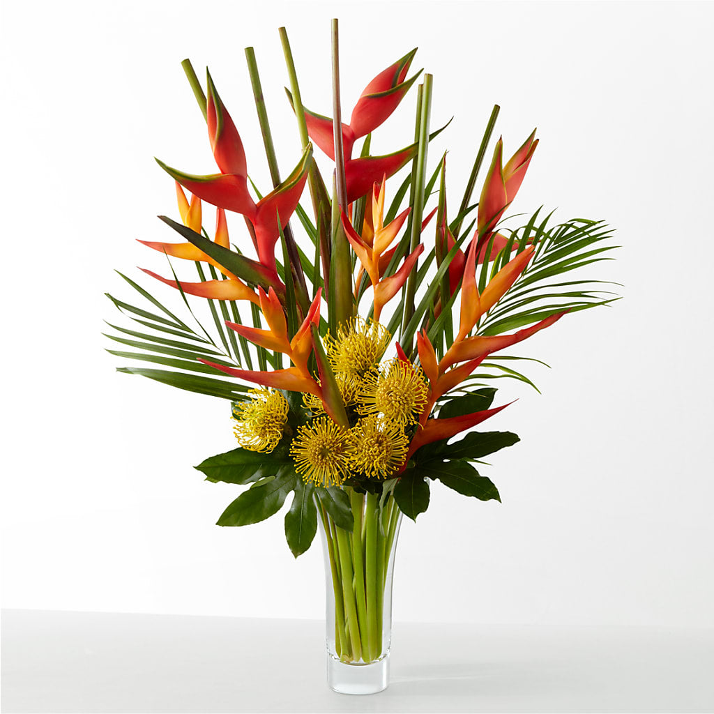 The Drama –  Petal Pockets, Fontana CA